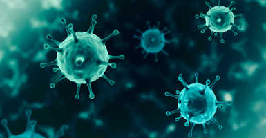 Koronavírus védettség